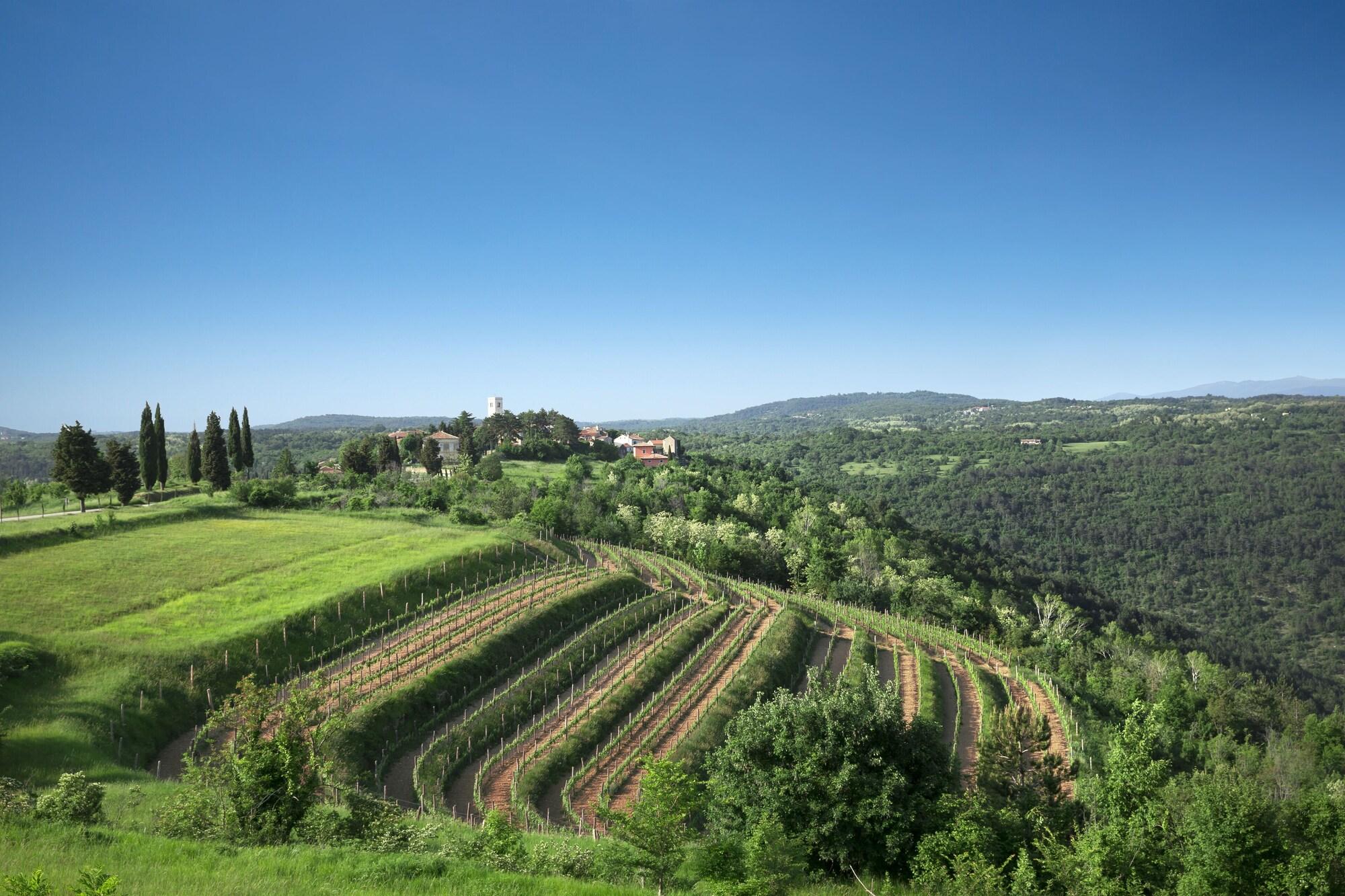Palazzo Angelica B&B Adults Only Oprtalj Exteriér fotografie